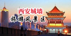 插进来AV中国陕西-西安城墙旅游风景区